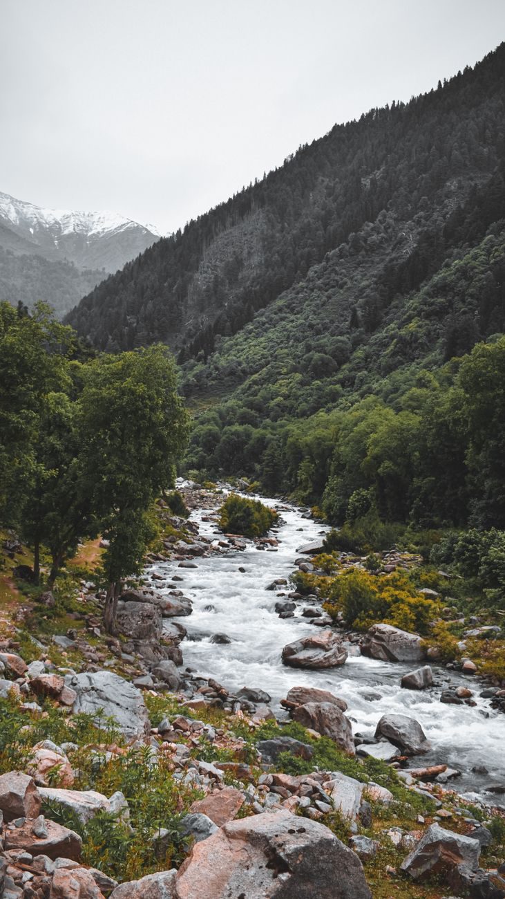 Chandanwari near Pahalgam