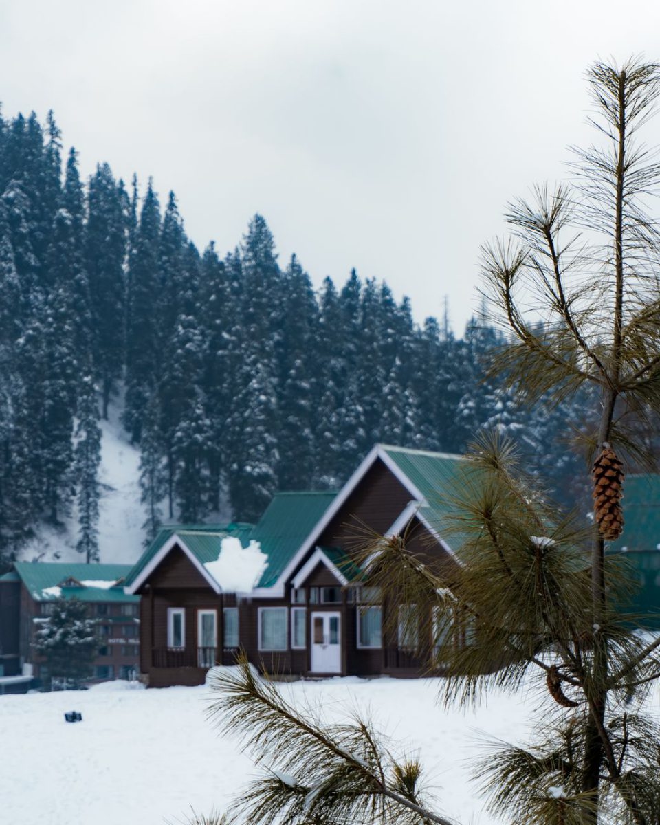 Kashmir Snow Retreat - Srinagar, Gulmarg