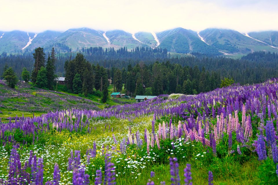 Offbeat Kashmir Explorer - Srinagar, Doodhpathri, Aharbal, Kokernag, Daksum
