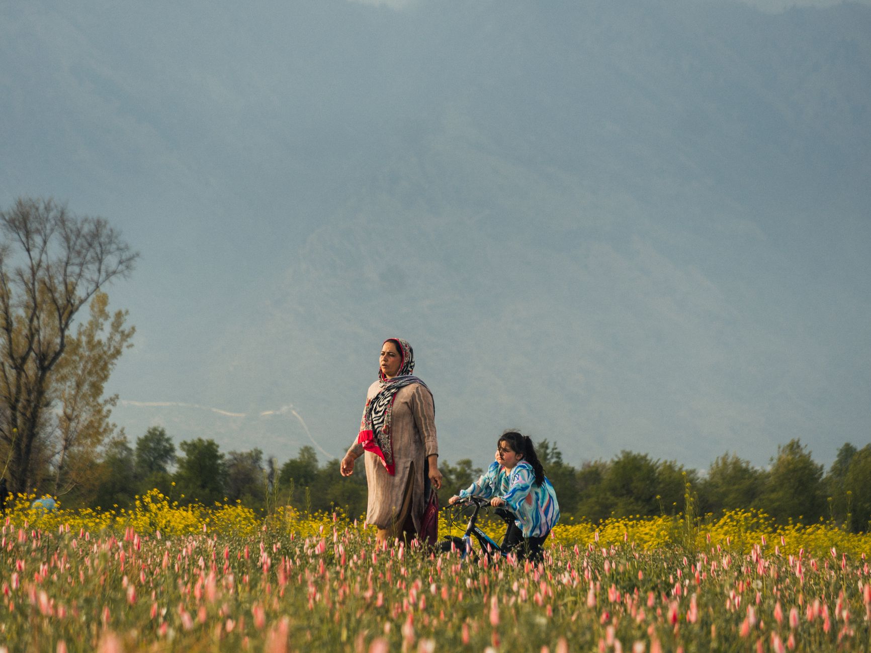 Srinagar & Pahalgam Family Break - Srinagar, Pahalgam, Doodhpathri