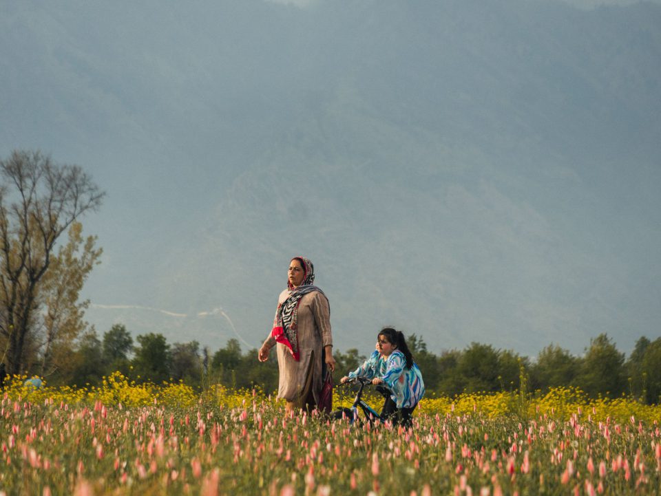 Srinagar & Pahalgam Family Break - Srinagar, Pahalgam, Doodhpathri