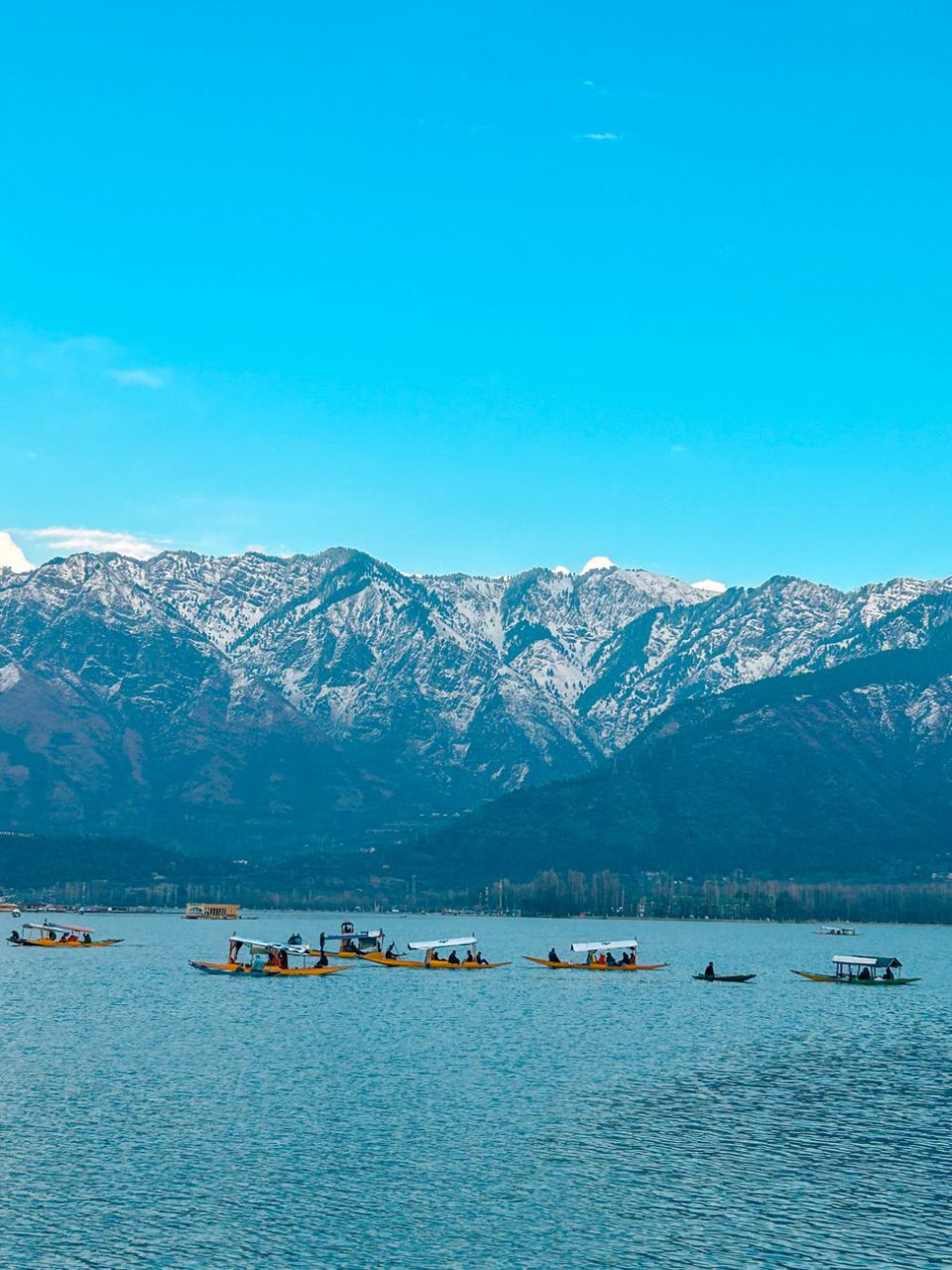 Multi-Generation Kashmir Tour - Srinagar, Gulmarg, Pahalgam, Sonmarg